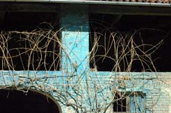 Particolari architettonici