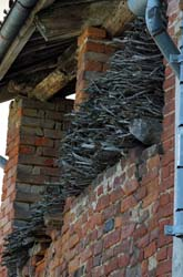 Particolari architettonici