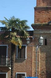 Particolari architettonici